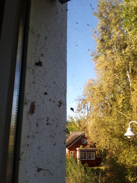 Apartmenthaus Arkona