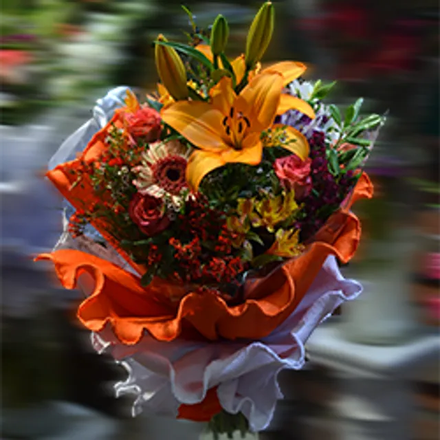 Municipio de Jacinto Aráuz