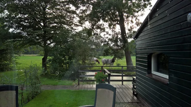 Appartementen Rijnhoeve