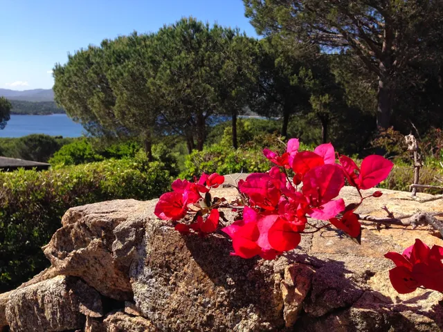 Villette Marina di Conca Verde