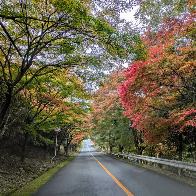 Arashiyama–Takao Parkway