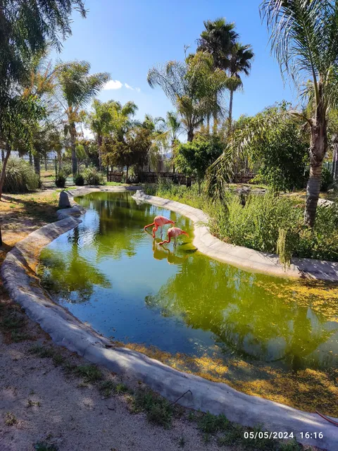 Zoológico Valle De Guadalupe