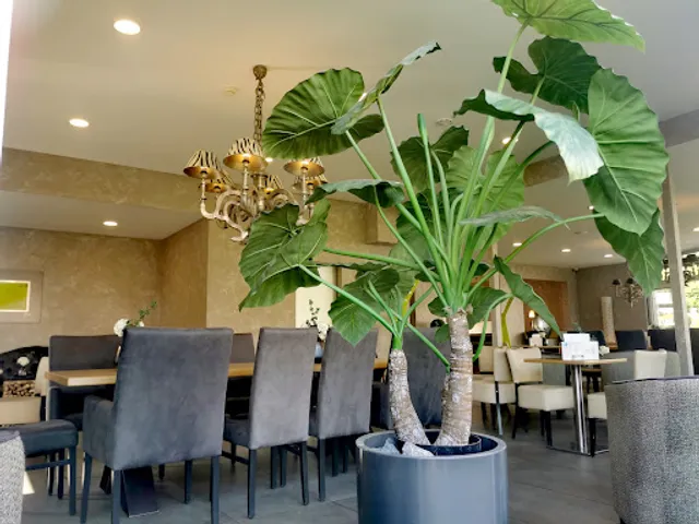 Olsson bakery at Betheleck