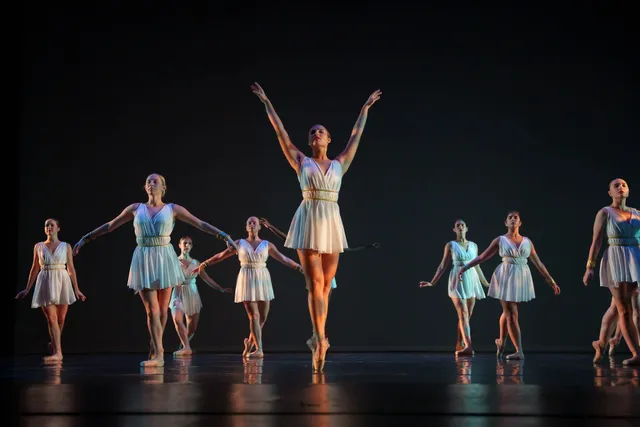 USF College of Design, Art & Performance