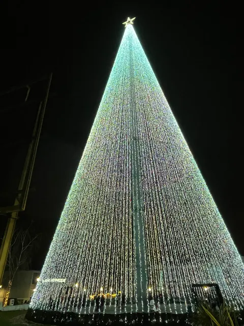 Largest Christmas Tree in Portugal
