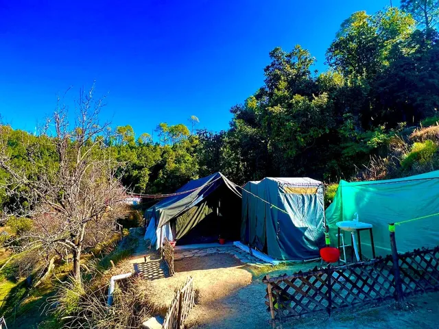 Wild Wishes Camp Mukteshwar