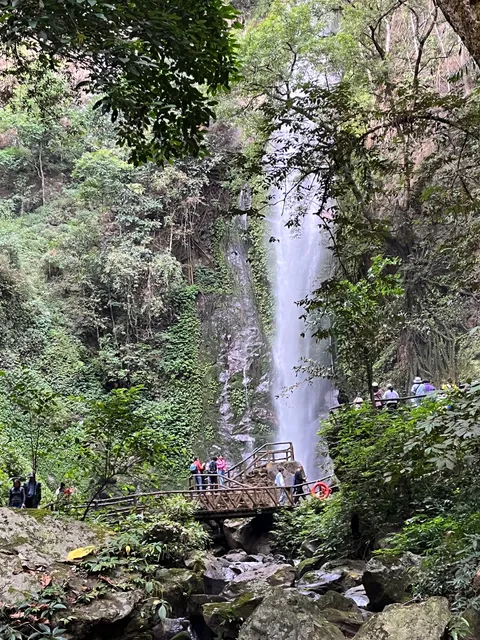 Moli Tropical Rain Forest Scenic Area