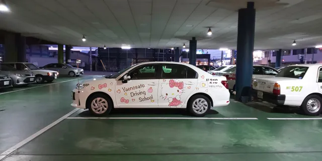 Yaenosato Driving school