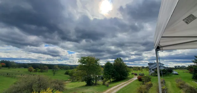 Willow Oaks Craft Cider and Wine