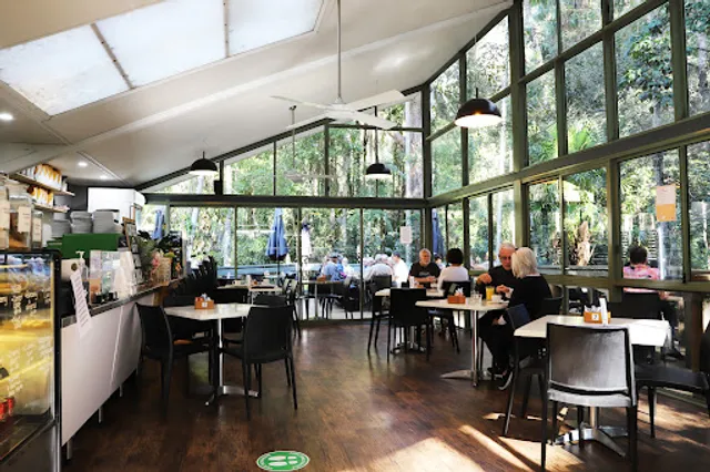 The Rainforest Cafe Port Macquarie