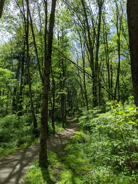 Beaver Brook Meadow / Steele Farm