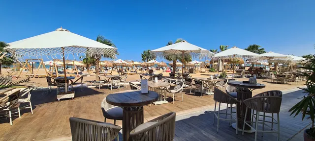 ZOUNi Beach - Mangroovy