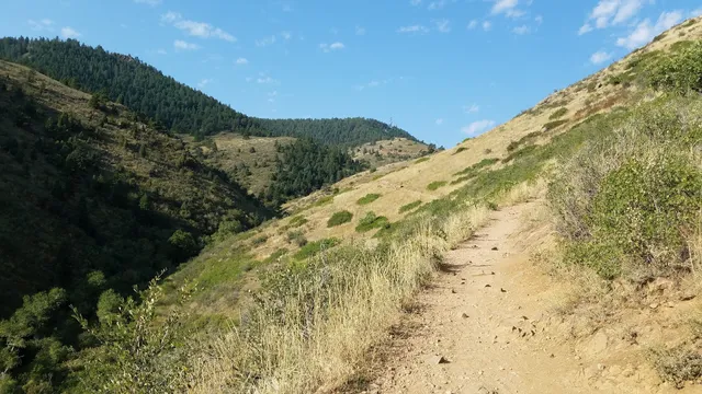 Chimney Gulch Trailhead