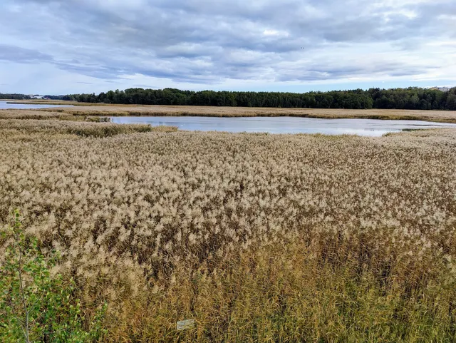 Saunalahti Nature Reserve