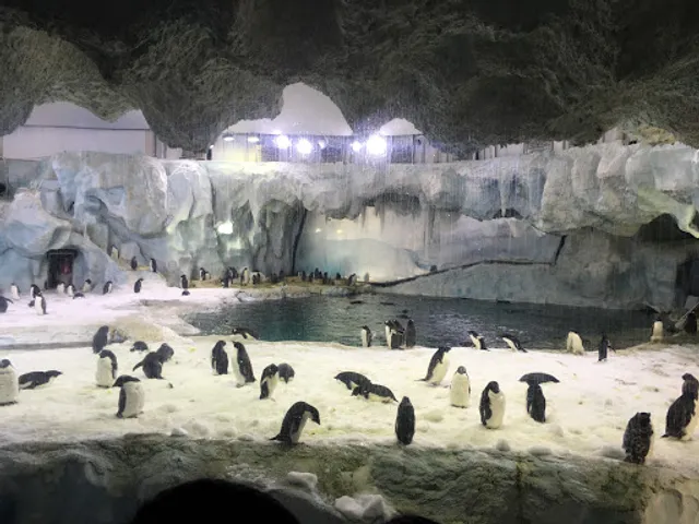 Penguin Hall