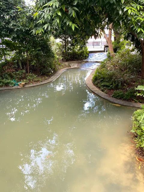SST Pond