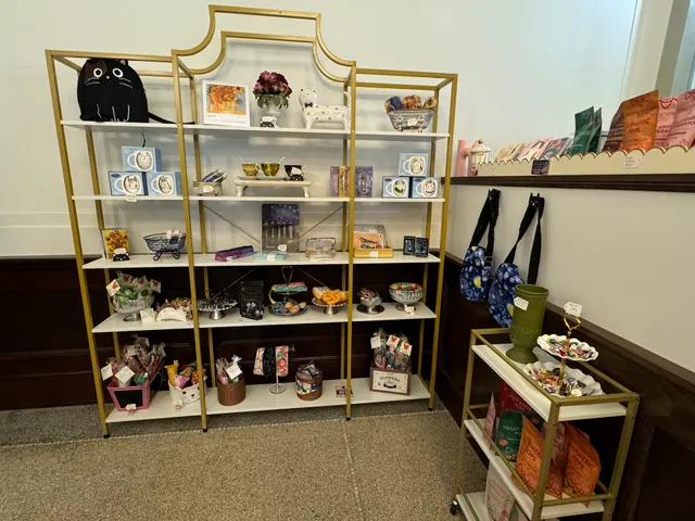 Starry Night Cat Café