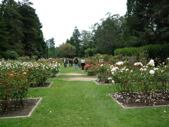 Rose Garden