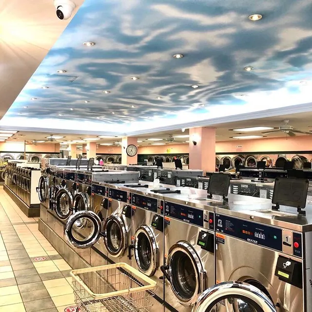 La La Laundry & plants