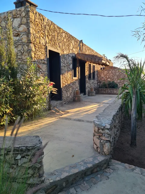 Koheilan oriental lodge farm