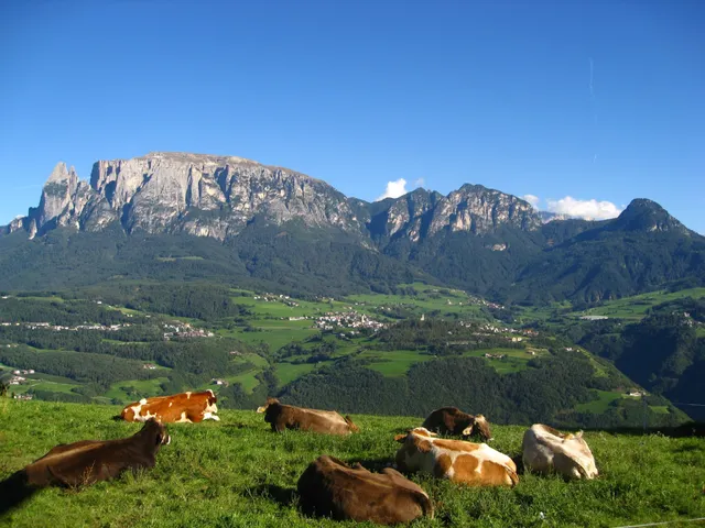 Ferienwohnung Moarhof in Siffian