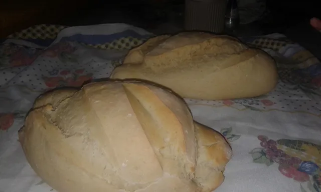 Bar e Armazém Ribeiro