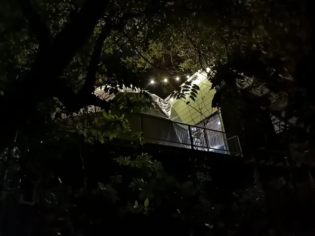 Monteverde Jungle Living Tree Houses