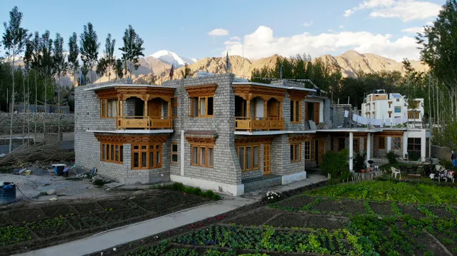 Adu's Eternal Comfort