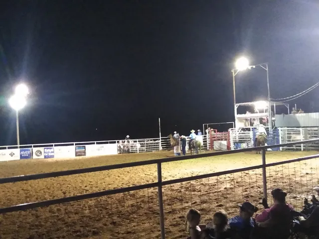 Lead Hill Saddle Club