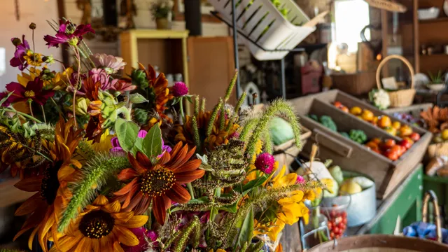 Tulip Tree Gardens Farm