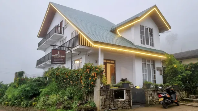 The mount view single tree