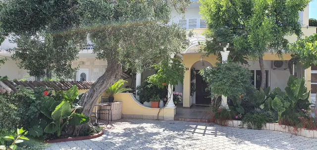 Apartments Two Olive Trees