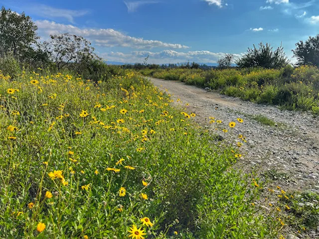 Santa Fe Dam Nature Center