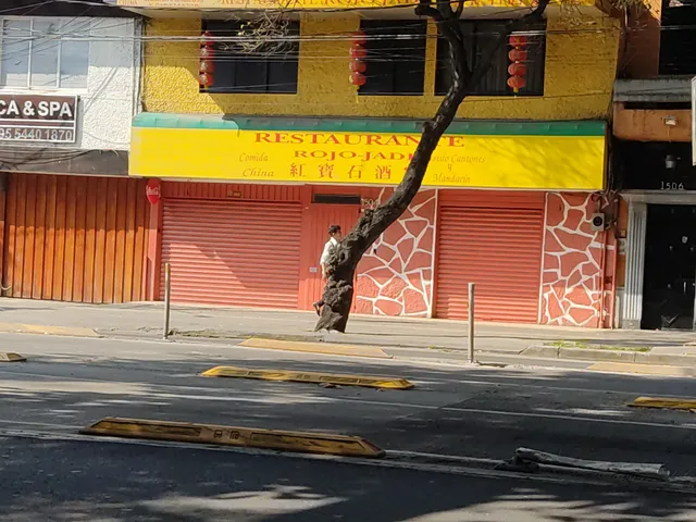 Rojo Jade红宝石酒家