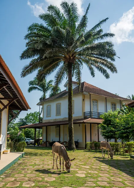 Roça Vale dos Prazeres