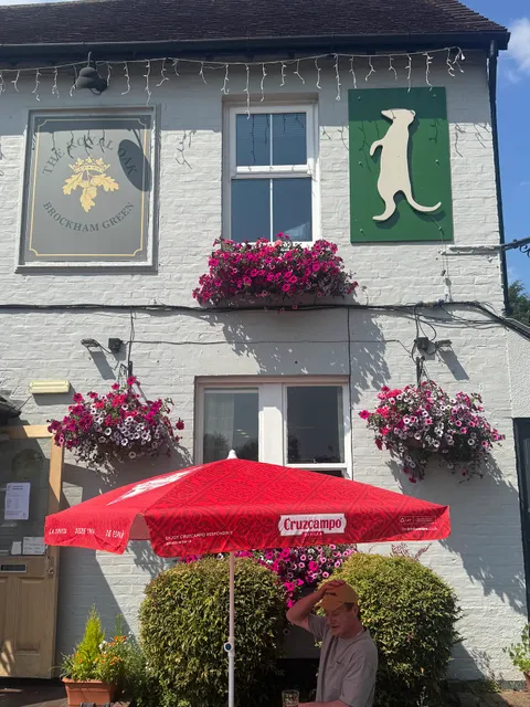 The Royal Oak Inn & Meerkat Retreat in Brockham