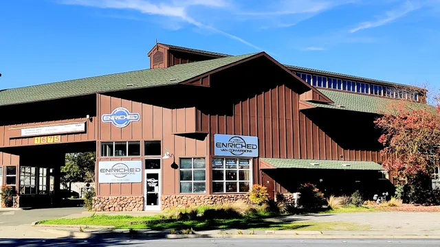 Enriched Mobile Electronics