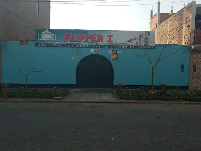 Flipper 1 Tradicional