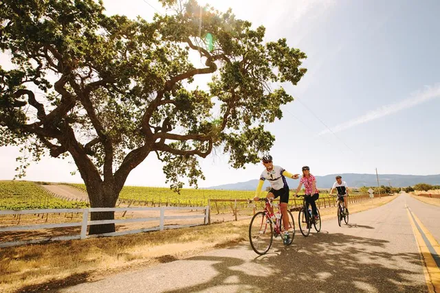 Santa Barbara Wine Country Cycling Tours