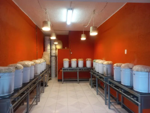 Tamales Nueva Santa María