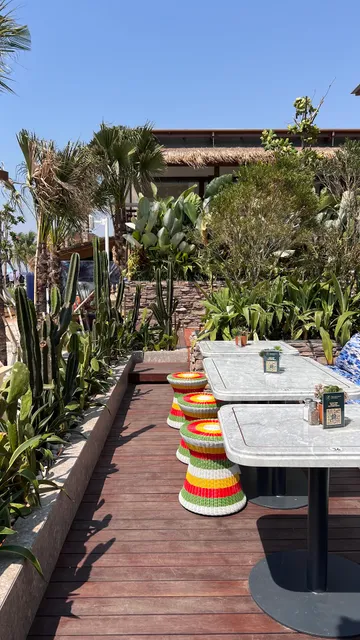 Monsieur Spoon Riviera Aloha PIK 2