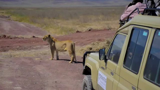 Enchanting Tanzania Safaris