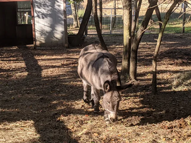 Allaire Community Farm