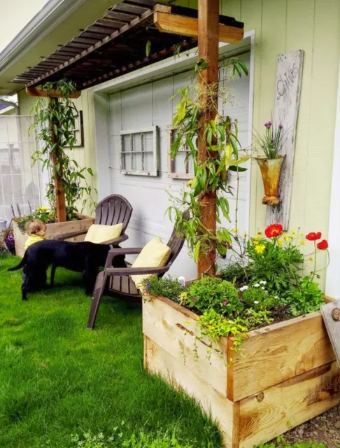 Sweet Springs Family Farm