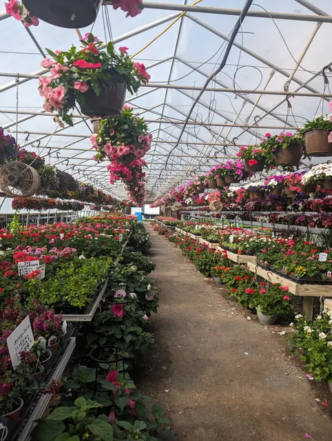 Cold Spring Brook Farm Inc