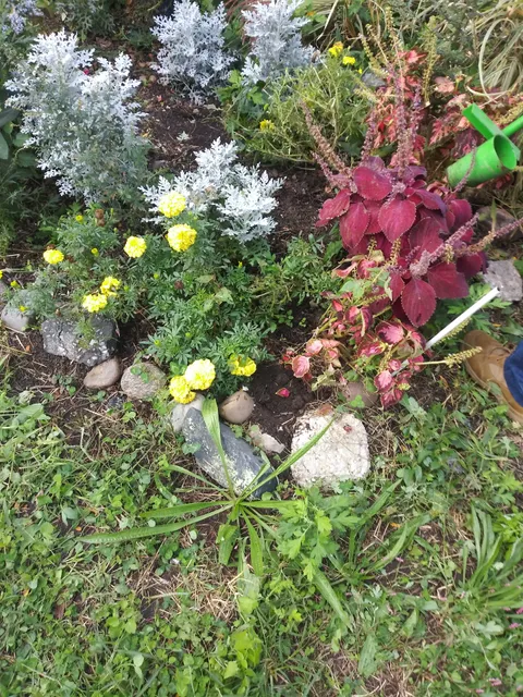 photo-2