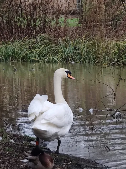Riverside Park, St Neots
