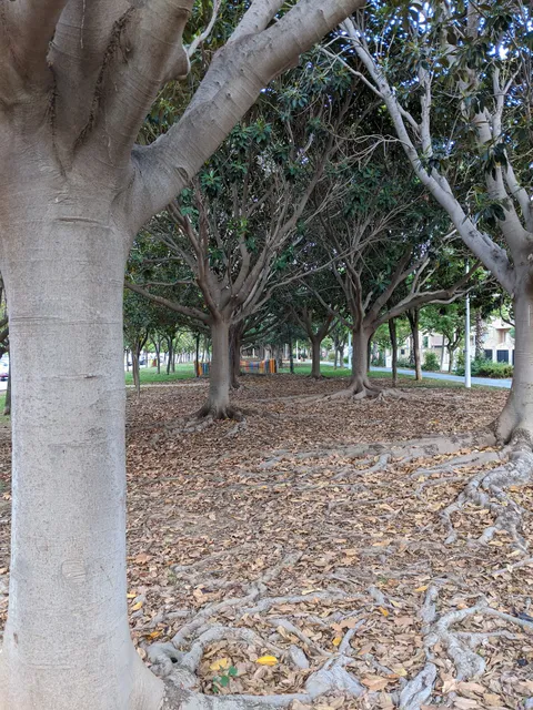 Passeig de la Primavera