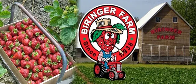 Biringer Farms