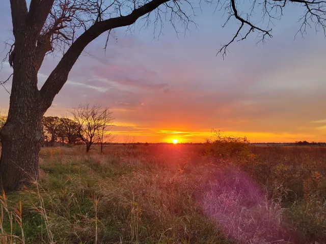 Muirhead Springs Forest Preserve